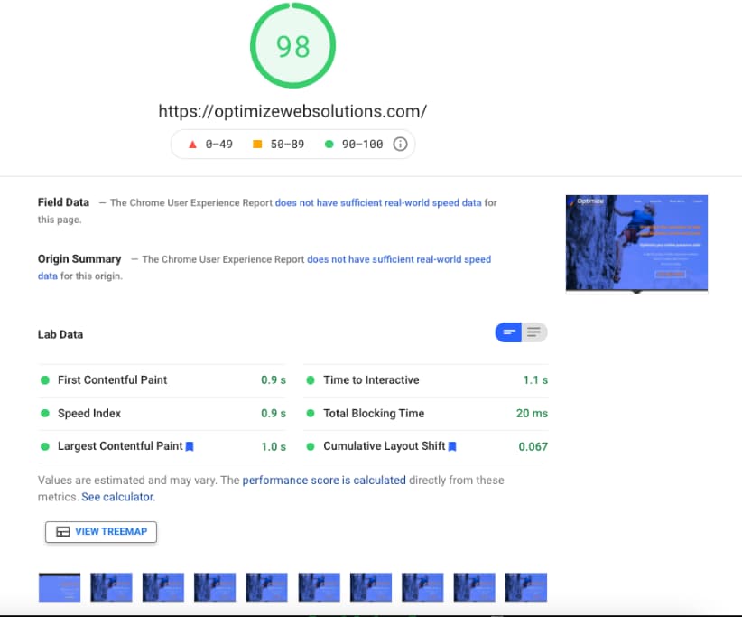 Google Page Speed Insights scores report